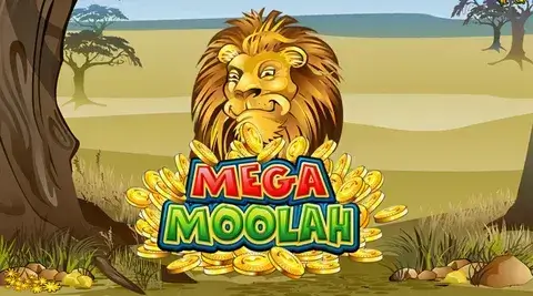 Mega Moolah Winner Story